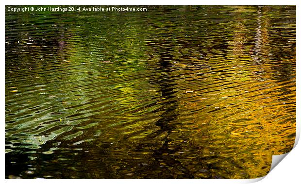  Golden Pond Print by John Hastings