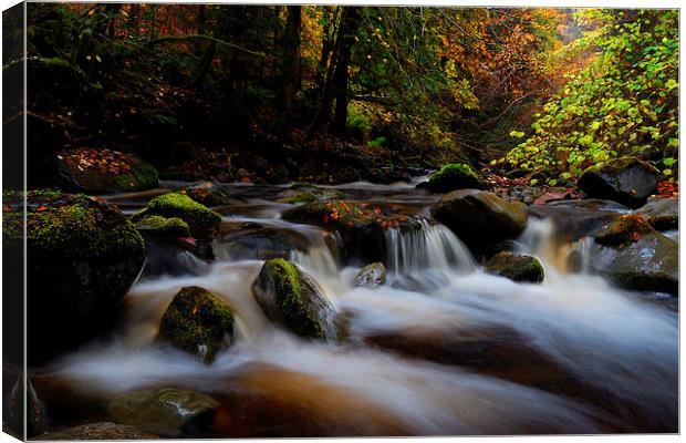  Autumn at Reelig Glen Canvas Print by Macrae Images