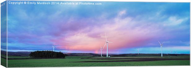  After the Storm Canvas Print by Emily Murdoch