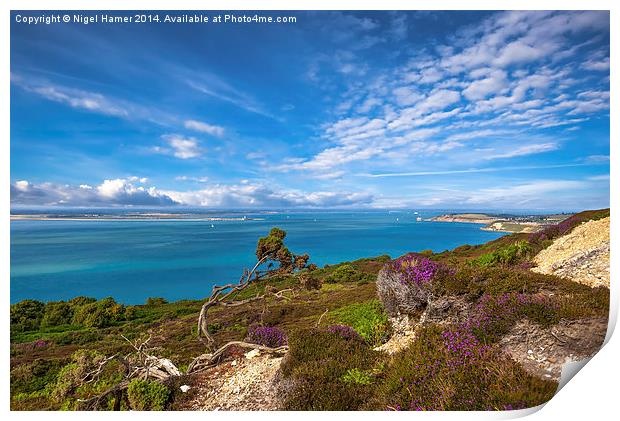 Headon Warren and Hurst Narrows Print by Wight Landscapes