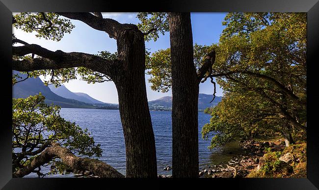  Crummock Water Through The Trees, Lake District,  Framed Print by Steven Garratt