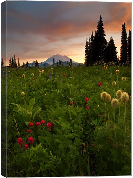 Paintbrush Sunset Canvas Print by Mike Dawson