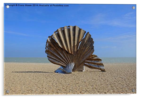  Aldeburgh Scallop Acrylic by Diana Mower