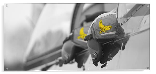  Eagle Squadron B&W + Yellow Acrylic by Alan Rampton Photography