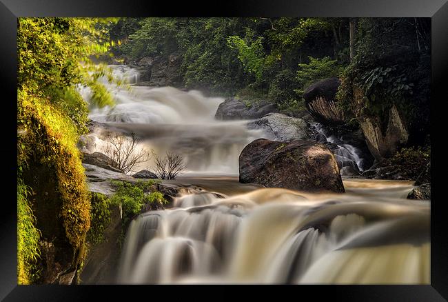  Beauty of Water Framed Print by Dave Rowlands