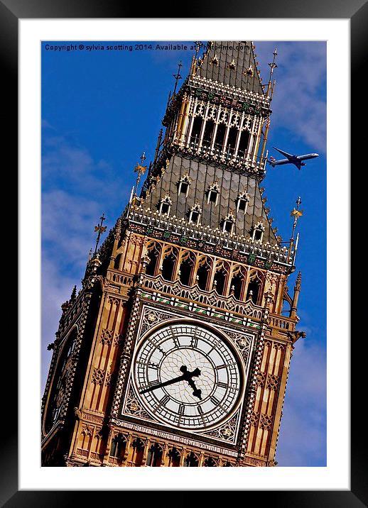  Flight past big ben Framed Mounted Print by sylvia scotting