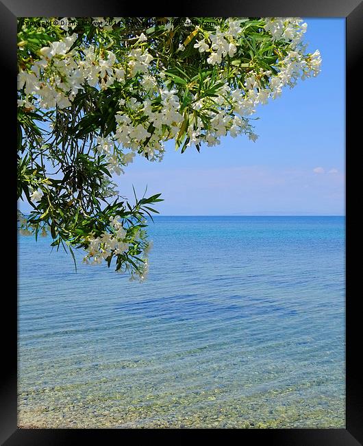  Mediterranean Beach Framed Print by Diana Mower