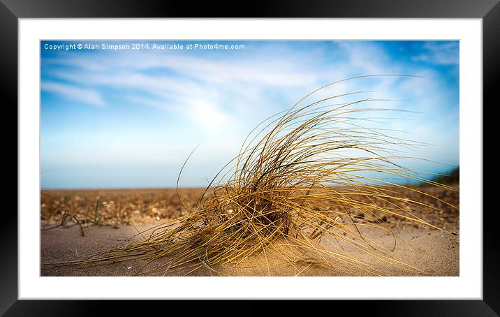  Seagrass - Holme Beach Framed Mounted Print by Alan Simpson