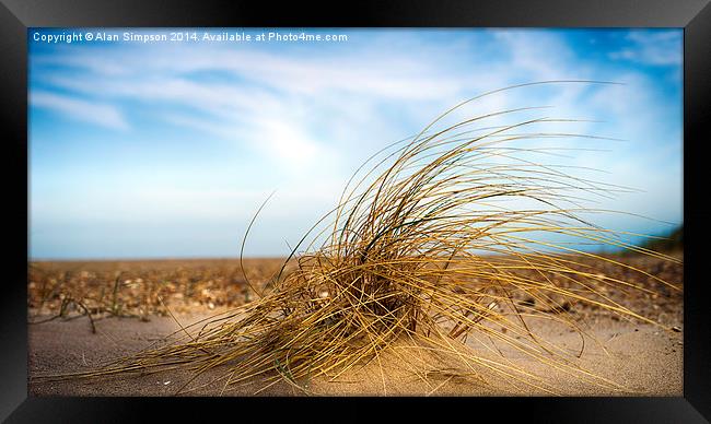  Seagrass - Holme Beach Framed Print by Alan Simpson