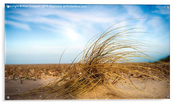  Seagrass - Holme Beach Acrylic by Alan Simpson