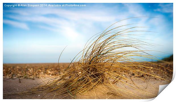  Seagrass - Holme Beach Print by Alan Simpson