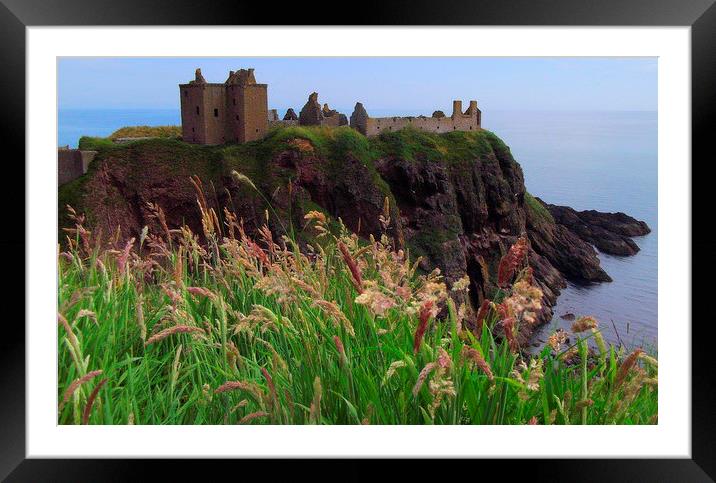  dunnottar castle    Framed Mounted Print by dale rys (LP)