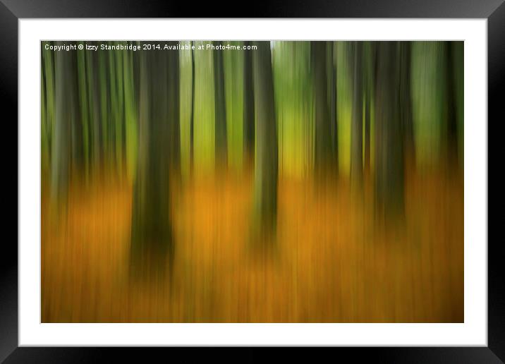  Autumn woodland abstract Framed Mounted Print by Izzy Standbridge