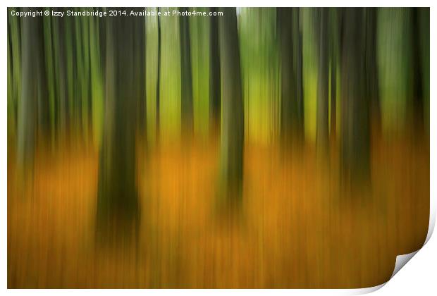  Autumn woodland abstract Print by Izzy Standbridge