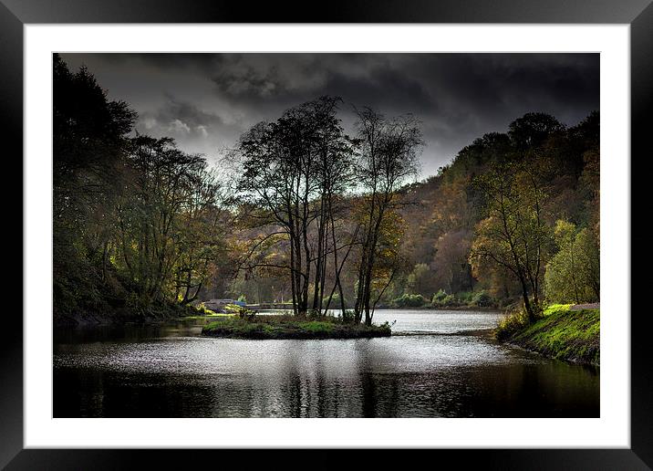  Upper lake Penllergaer woods Framed Mounted Print by Leighton Collins