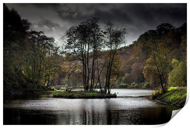  Upper lake Penllergaer woods Print by Leighton Collins