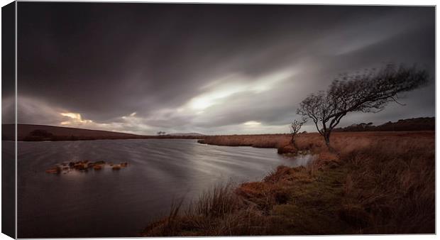 Broad Pool North Gower Canvas Print by Leighton Collins