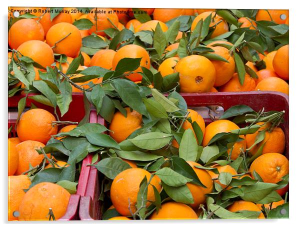  Spanish Oranges Acrylic by Robert Murray