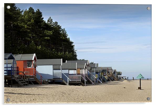 Happy Days ! Holiday Beach Huts on the Sand at Wel Acrylic by john hartley