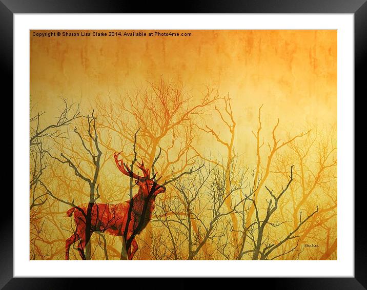  Deep in the forest Framed Mounted Print by Sharon Lisa Clarke