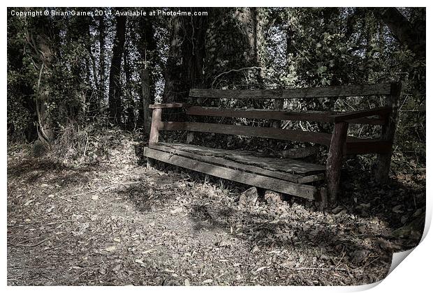  Old Bench by the Grantham Canal Print by Brian Garner