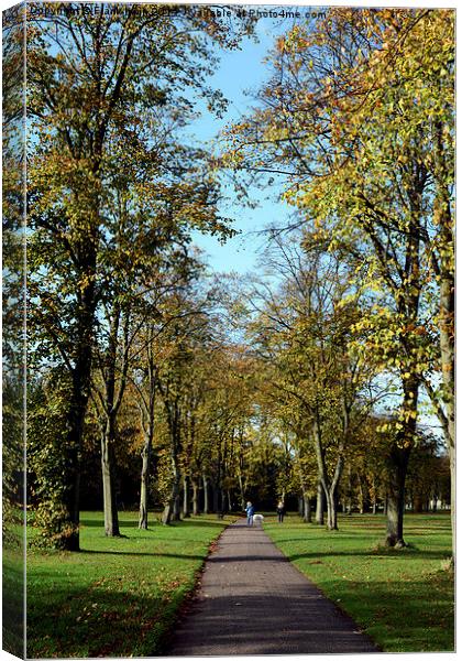  Autumnal colours in the park Canvas Print by Frank Irwin
