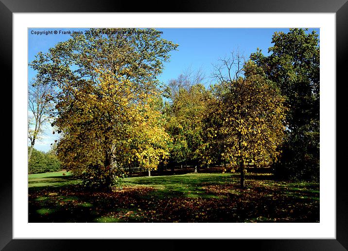  Autumnal colours in the park Framed Mounted Print by Frank Irwin