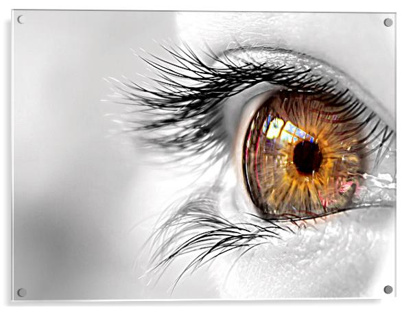  Golden Eye Acrylic by Helen Holmes