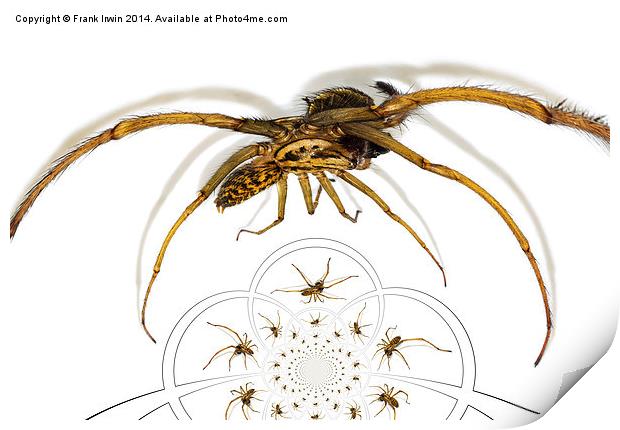  Arachnophobia a go-go Print by Frank Irwin