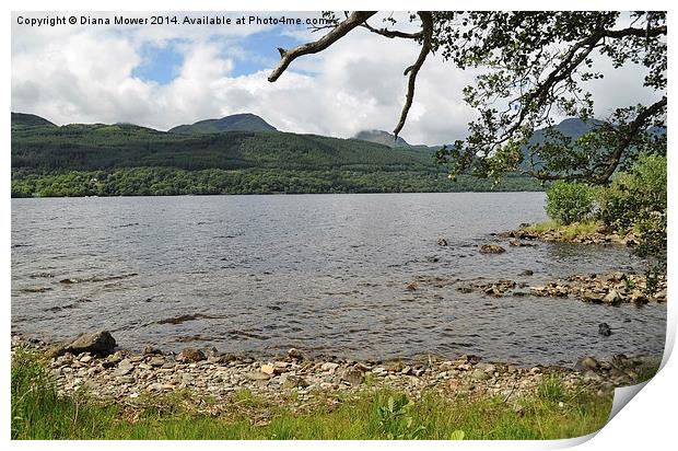  Loch Lomond Print by Diana Mower