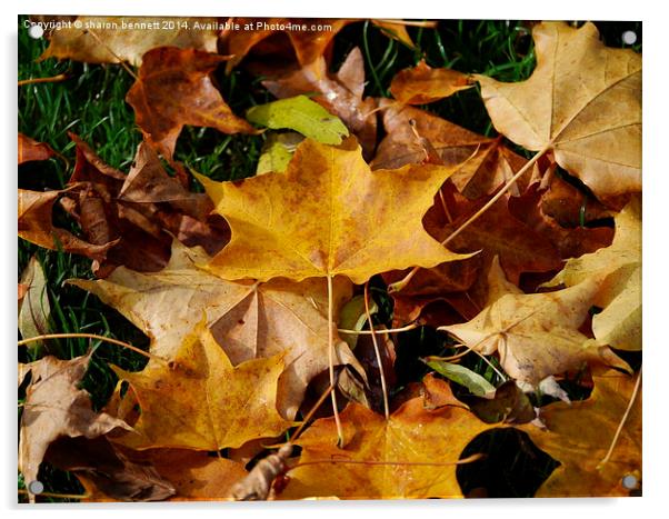  Autumn Acrylic by sharon bennett
