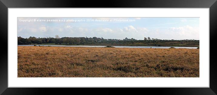New forest Framed Mounted Print by Elaine Pearson
