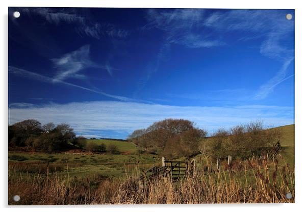  Azure blue skies over sheep grazing land Acrylic by Stephen Prosser