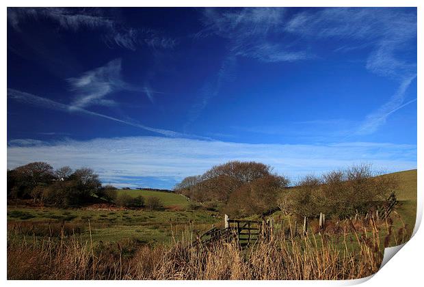  Azure blue skies over sheep grazing land Print by Stephen Prosser