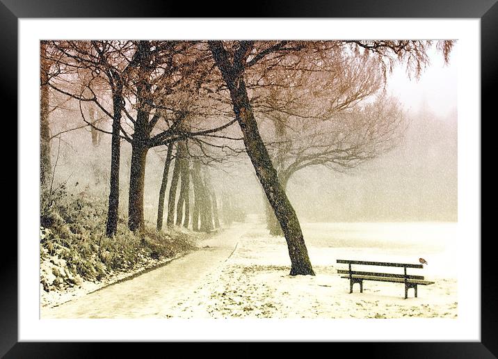  Winter Serenity Framed Mounted Print by Anthony Michael 
