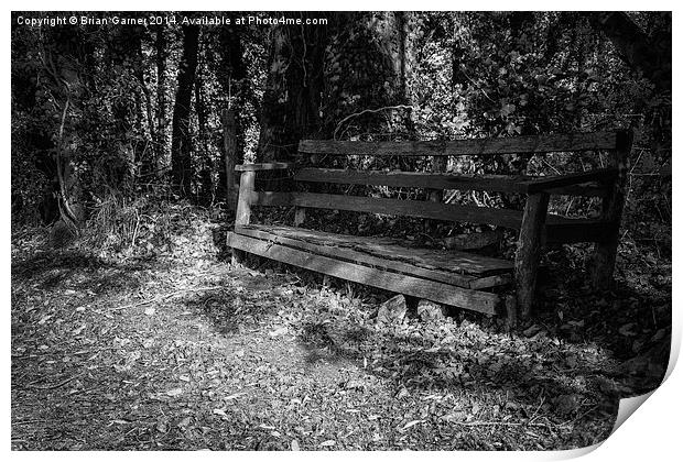  Old Bench by the Grantham Canal Print by Brian Garner