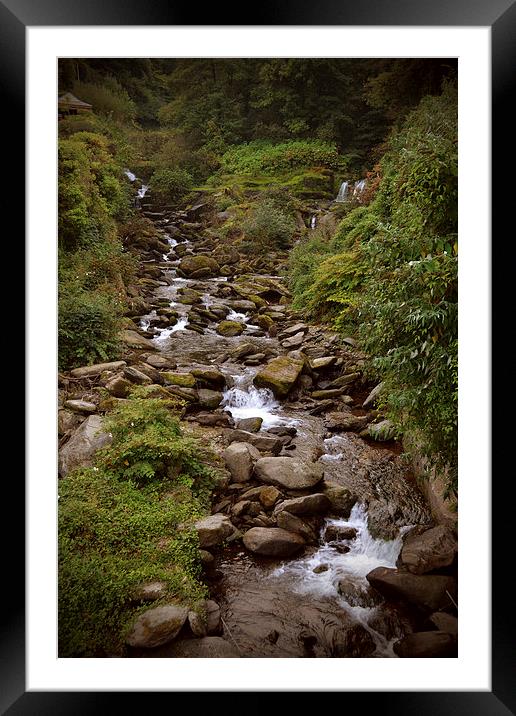 The Glen Lyn Gorge at Lynmouth  Framed Mounted Print by graham young