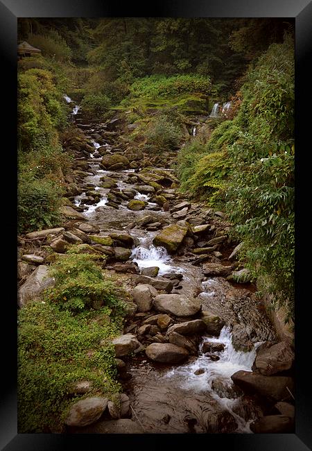 The Glen Lyn Gorge at Lynmouth  Framed Print by graham young