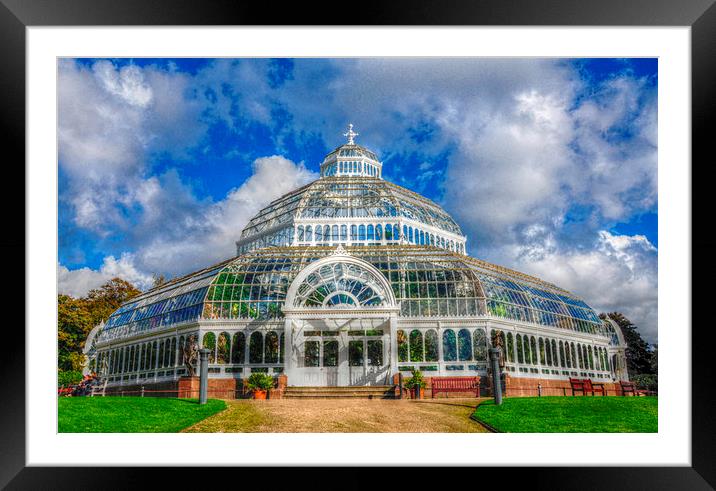  the palm house Framed Mounted Print by sue davies