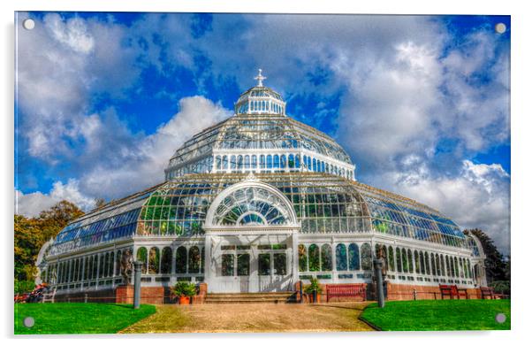  the palm house Acrylic by sue davies
