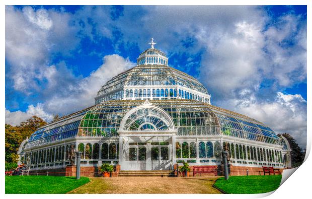  the palm house Print by sue davies