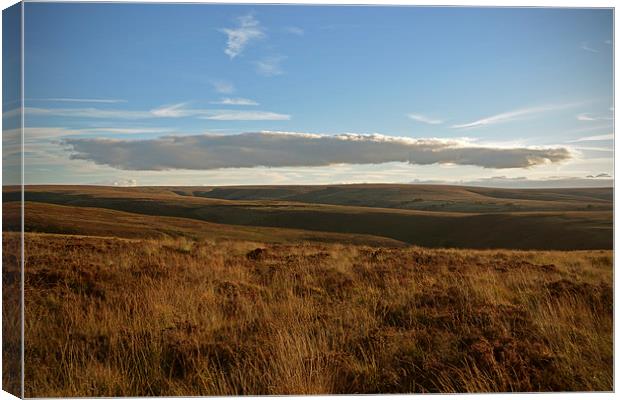 Exmoor Cloudscape  Canvas Print by graham young