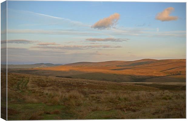 An exmoor evening  Canvas Print by graham young