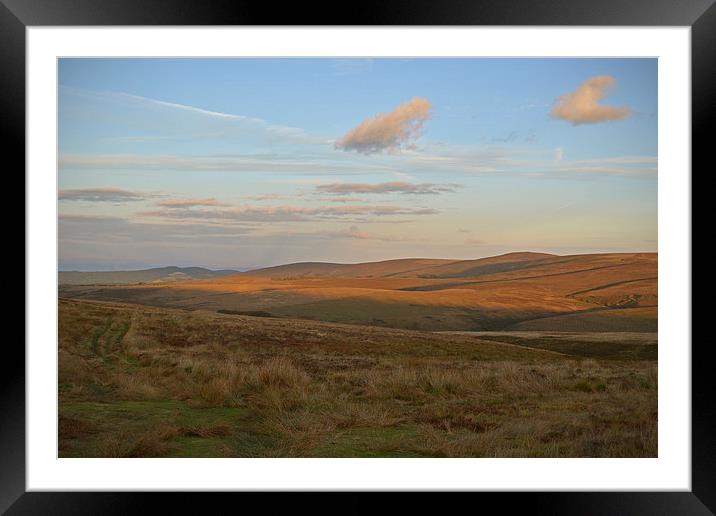 An exmoor evening  Framed Mounted Print by graham young