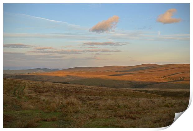 An exmoor evening  Print by graham young