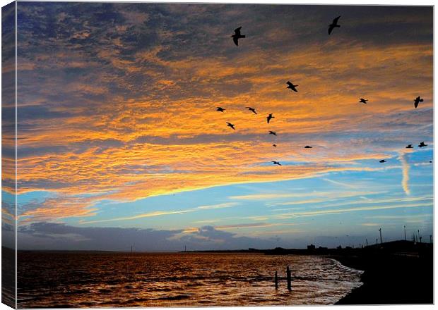  High over the Humber Canvas Print by Alan Mattison