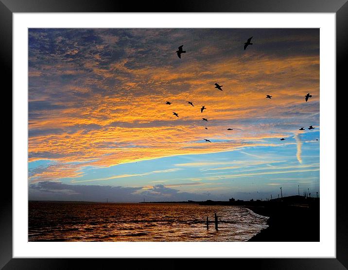  High over the Humber Framed Mounted Print by Alan Mattison