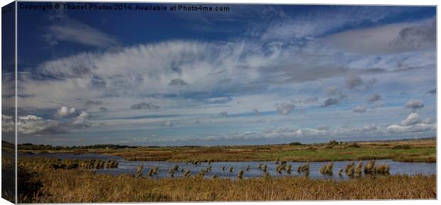  Oare marshes  Canvas Print by Thanet Photos