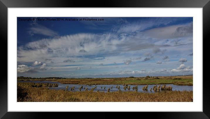  Oare marshes  Framed Mounted Print by Thanet Photos