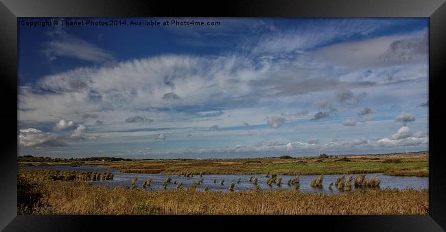  Oare marshes  Framed Print by Thanet Photos